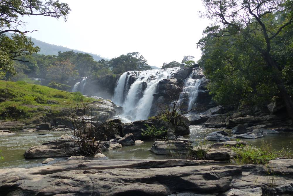 Chinnar Wildlife Sanctuary